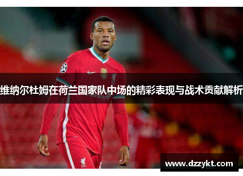 维纳尔杜姆在荷兰国家队中场的精彩表现与战术贡献解析