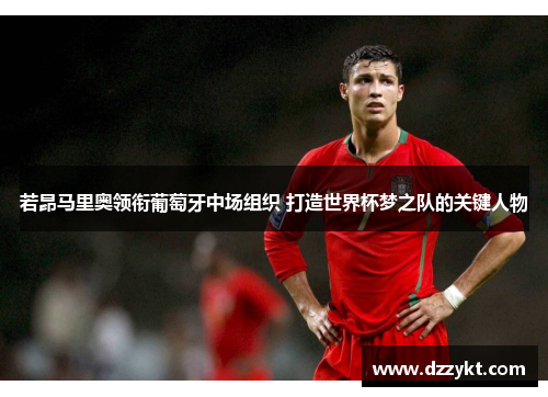若昂马里奥领衔葡萄牙中场组织 打造世界杯梦之队的关键人物