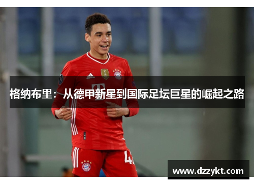 格纳布里：从德甲新星到国际足坛巨星的崛起之路