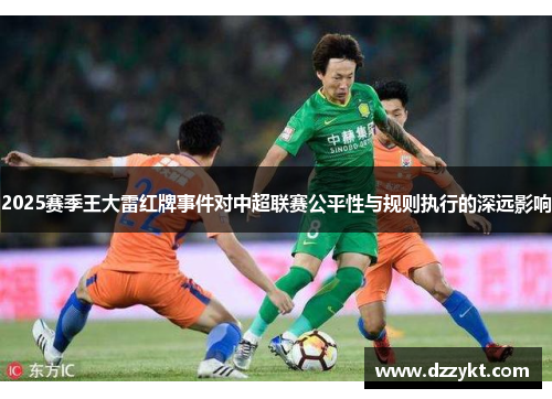 2025赛季王大雷红牌事件对中超联赛公平性与规则执行的深远影响