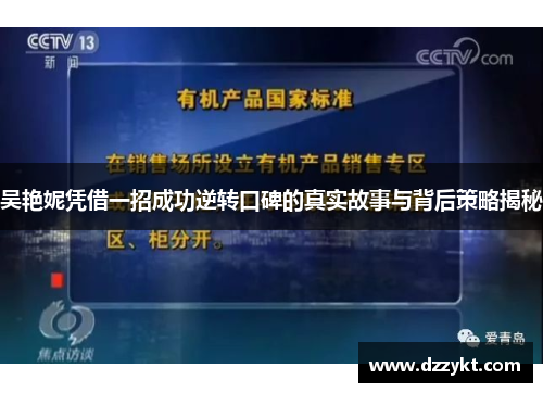 吴艳妮凭借一招成功逆转口碑的真实故事与背后策略揭秘