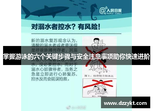 掌握游泳的六个关键步骤与安全注意事项助你快速进阶