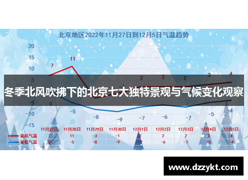 冬季北风吹拂下的北京七大独特景观与气候变化观察