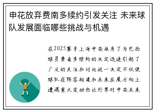 申花放弃费南多续约引发关注 未来球队发展面临哪些挑战与机遇